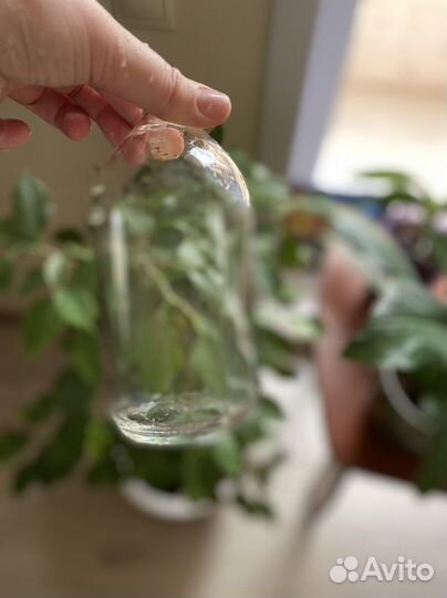 Декоративные бутылки