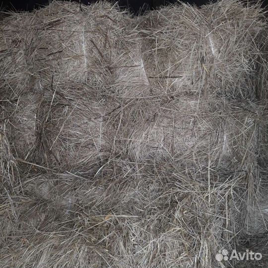 Сено в тюках