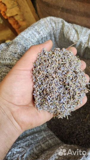 Лаванда сухоцвет Е-172 