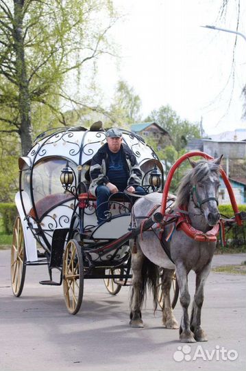 Конные прогулки