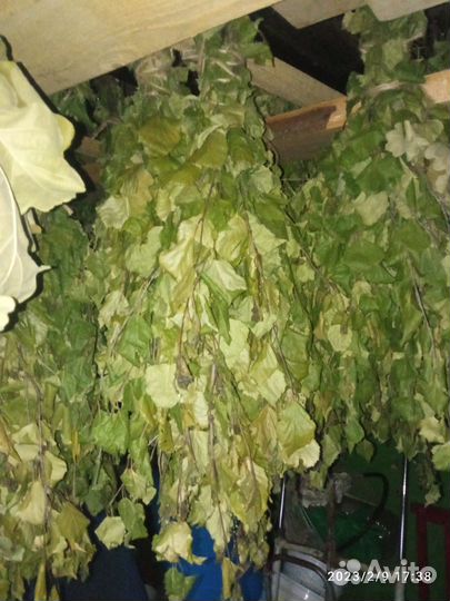 Продам, берёзовые веники