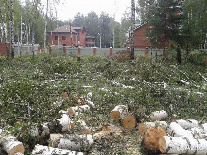 Расчистка / Выравнивание территорий