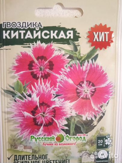 Рассада гвоздика китайская (многолетняя)