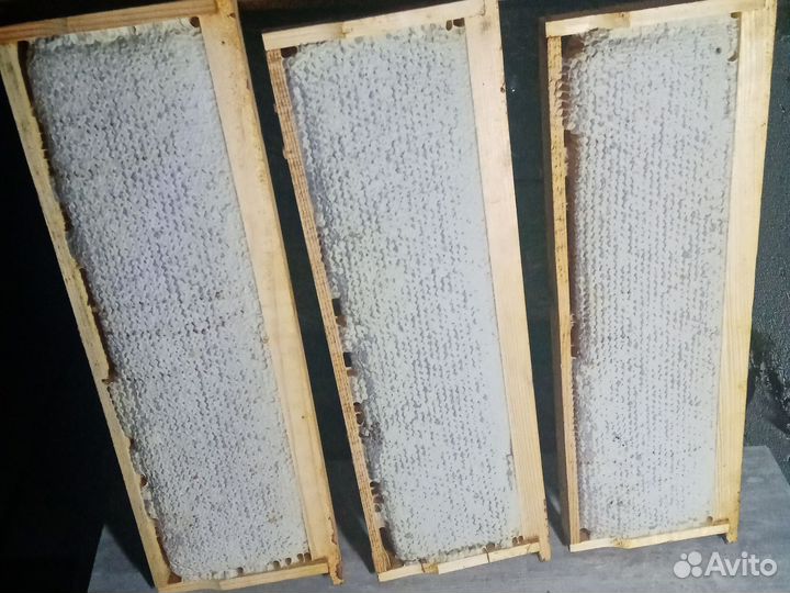 Мёд, прополис, воск,мёд в сотах