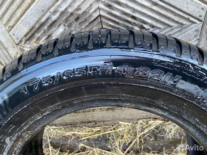 Alaska 260 175/65 R14