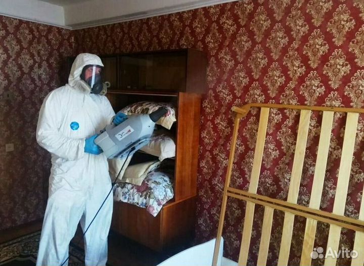 Средство для Уничтожения клопов, тараканов, крыс Дезинфекции