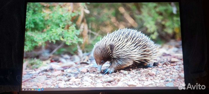 Монитор игровой asus vg27aql1a 27 2k 170гц