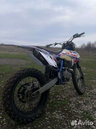 Zuum px 250