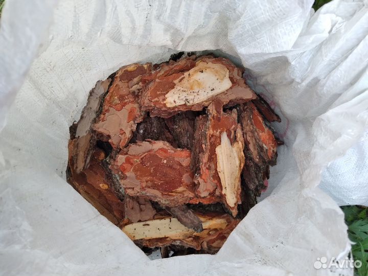 Кора сосны и сибирской лиственницы