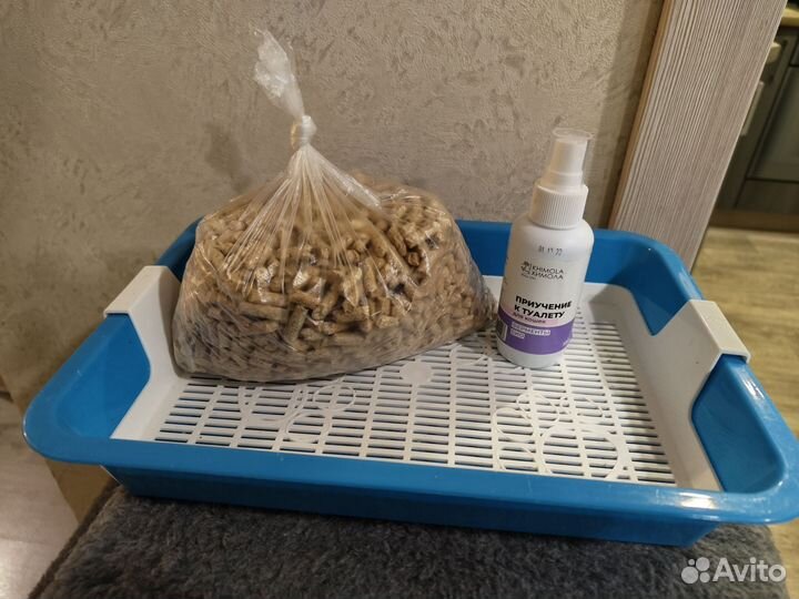 Лоток для котенка, бесплатно