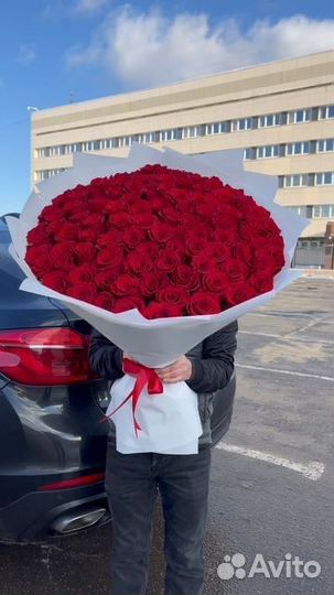 Роза метровая