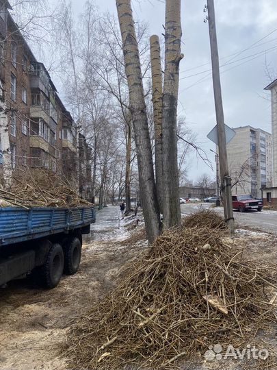 Спиливание деревьев