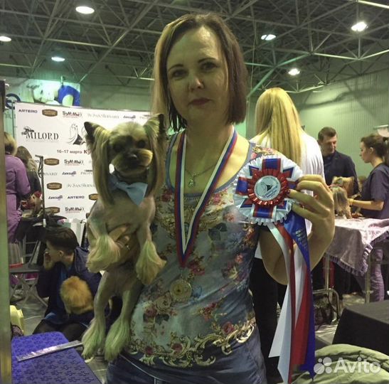 Груминг обучение