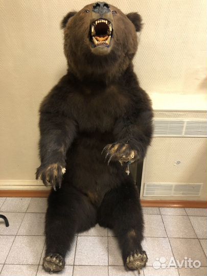 Медведь искусственный