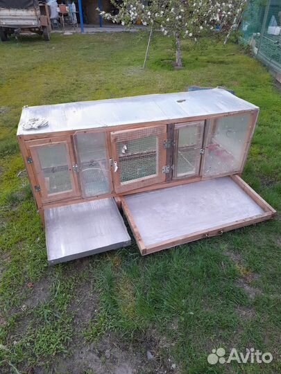 Брудера