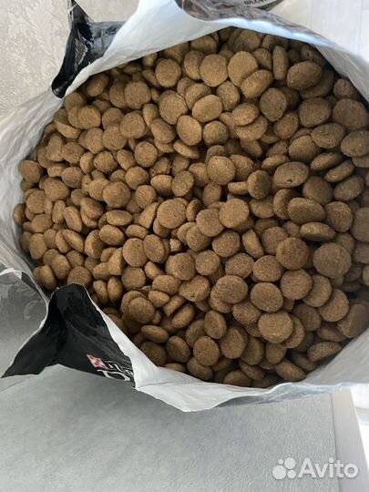 Корм для собак purina pro plan