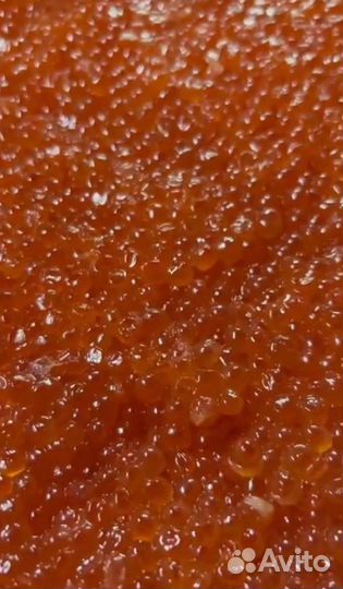 Красная икра оптом