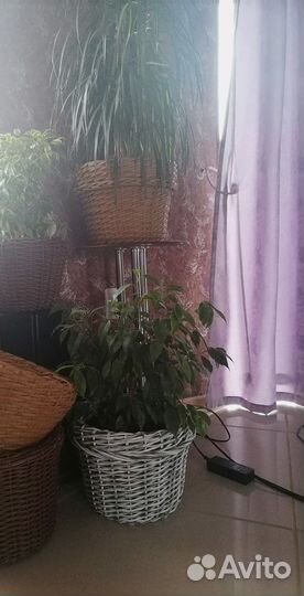 Кашпо для цветов ручной работы