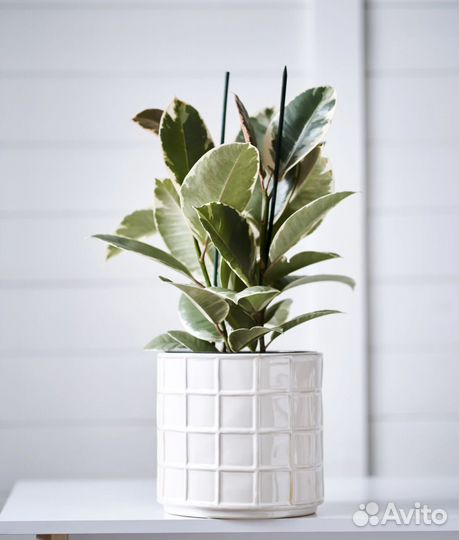 Кашпо горшок Пломбир/ Клетка