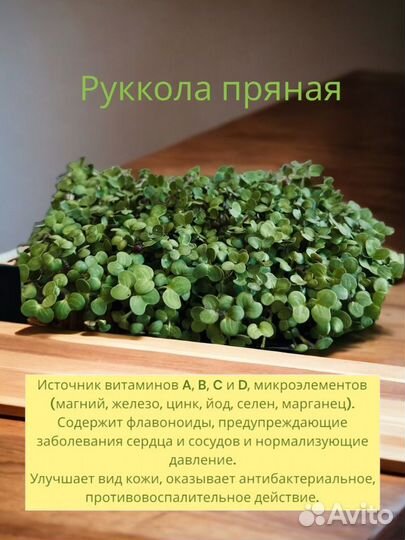 Микрозелень