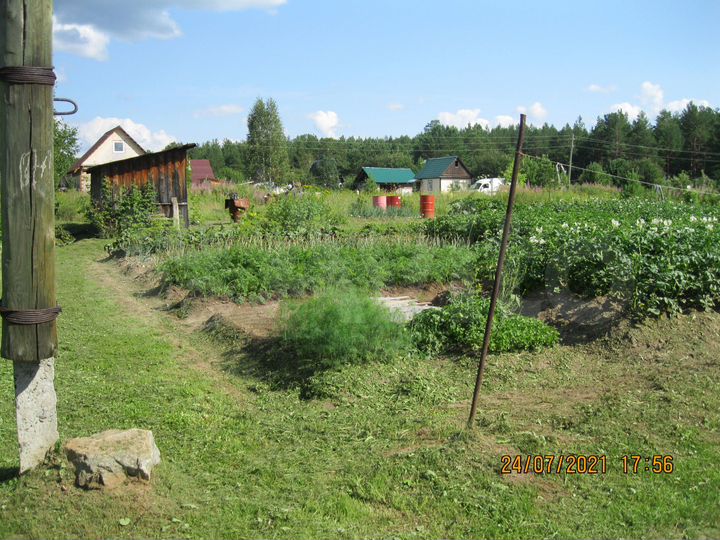 Участок 6 сот. (СНТ, ДНП)