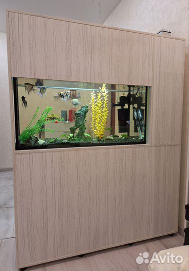 Аквариум с тумбой 200 литров
