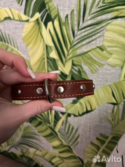 Новый Ошейник для средних собак