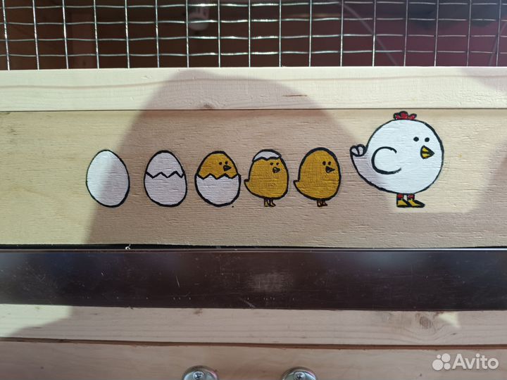 Брудер новый