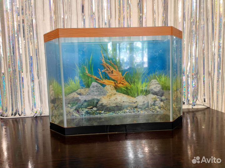 Аквариум