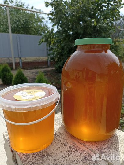 Мёд Летнее Разнотравье 2024