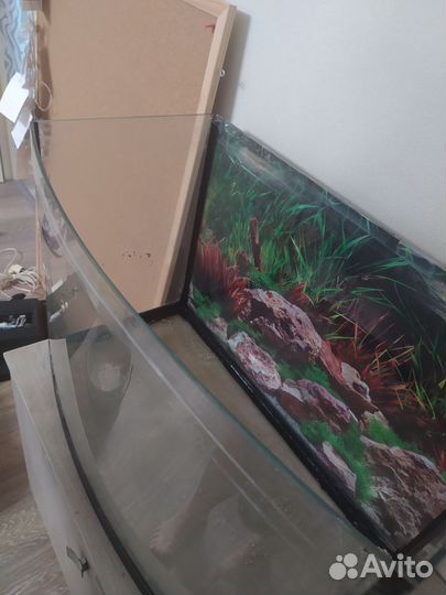 Аквариум