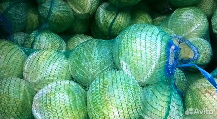 Капуста оптом купить