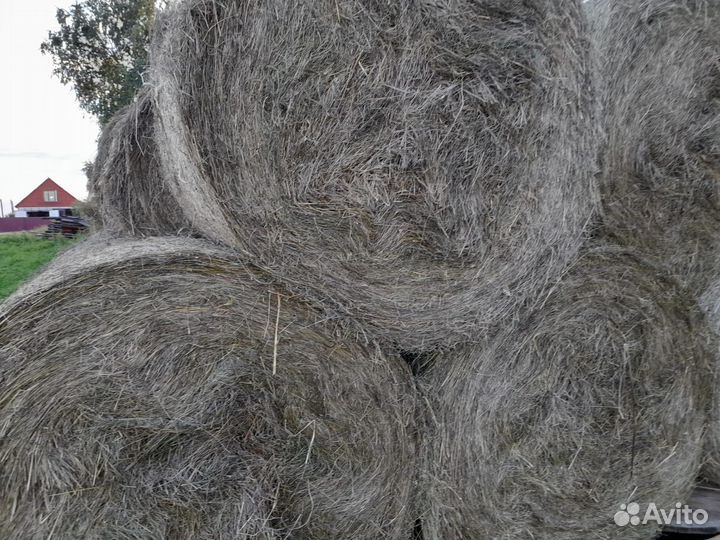 Сено в тюках