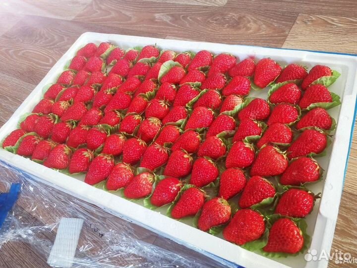 Клубника свежая кнр
