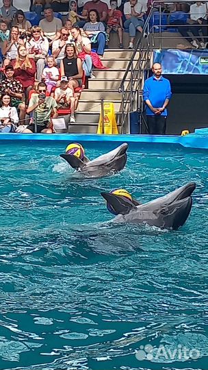 Тур на море. Все включено