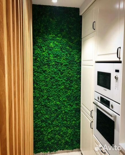 Фитокартина ягель панно из мха мох стабилизированн