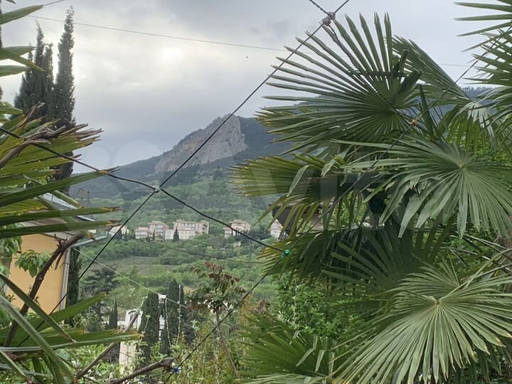 Комната 30 м² в 1-к., 1/2 эт.