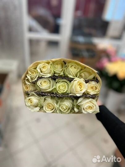 Розы 70см