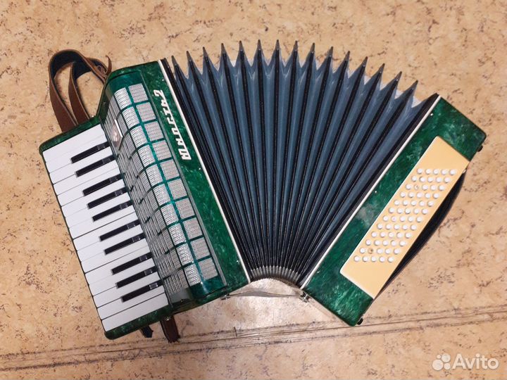 Аккордеон Юность 2