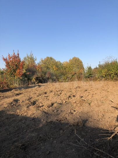 Участок 6 сот. (СНТ, ДНП)