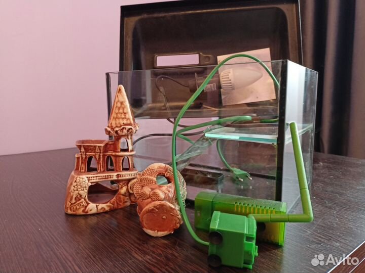 Аквариум для маленьких черепах