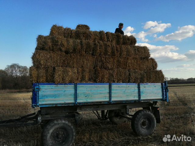 Сено/солома