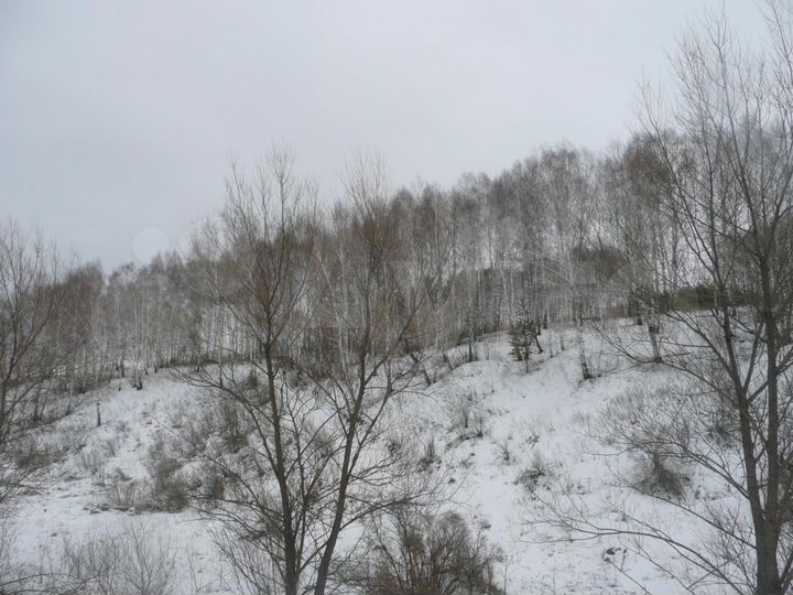 Участок 14,5 сот. (ИЖС)