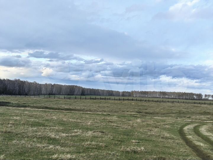 Участок 43 га (СНТ, ДНП)