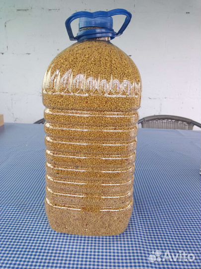 Пыльца пчелиная 2024