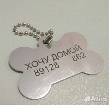 Адресник для животных