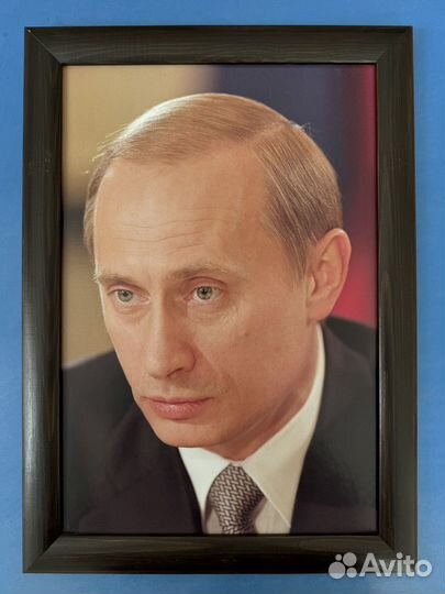 Портрет путина
