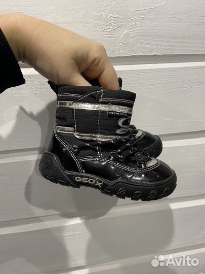 Ботинки geox 22 р