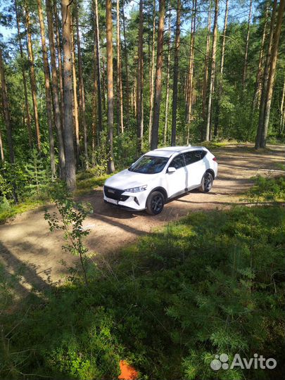 Трезвый водитель 24/7