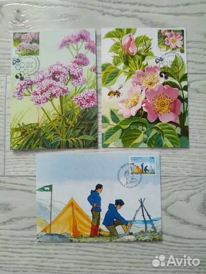 Картмаксимум на открытках